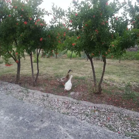 Holiday Herzegovina