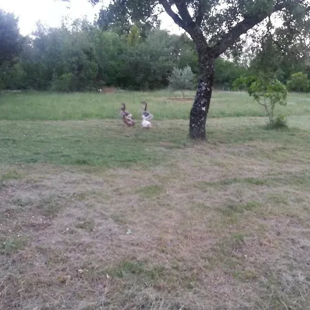 Holiday Herzegovina