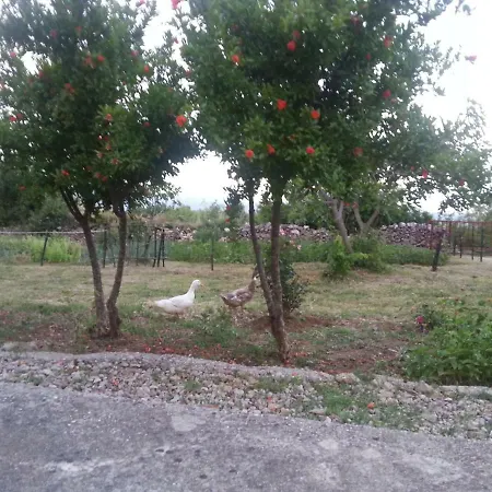 Holiday Herzegovina *